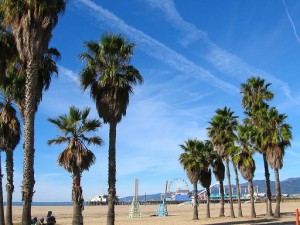Los Angeles Door Hanger Delivery